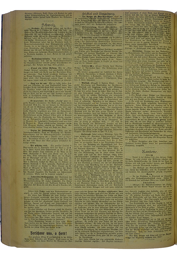 NRZ_1917_113_2