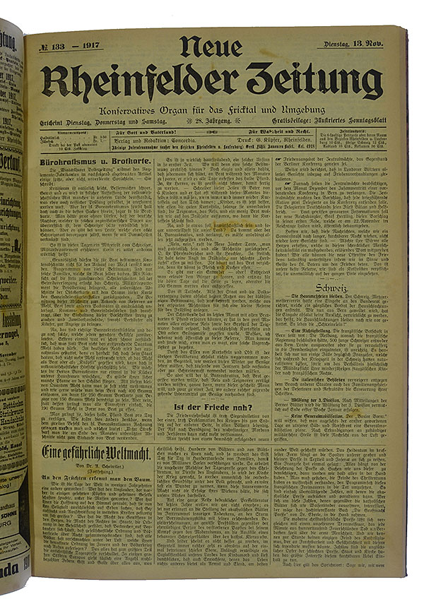 NRZ_1917_133_1