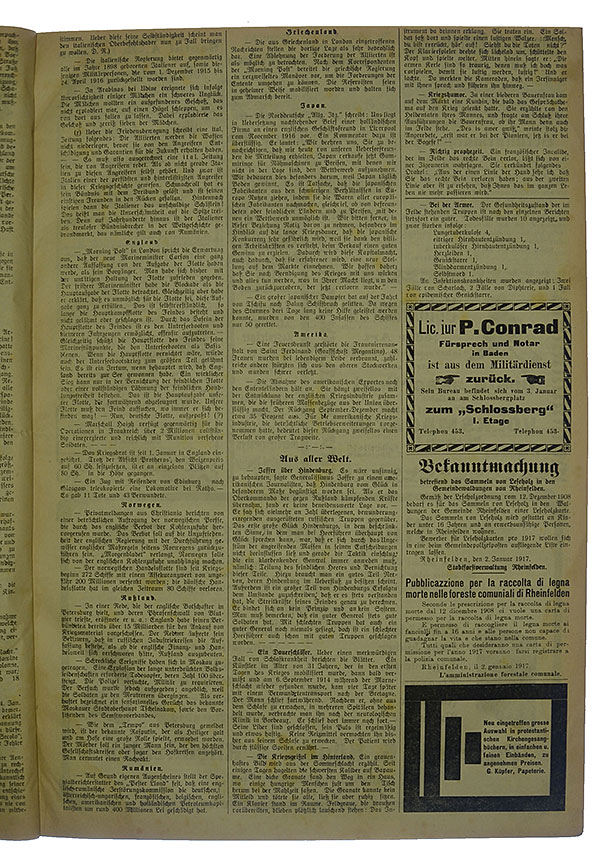 NRZ_1917_3_3
