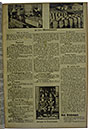 NRZ_1918_19_3