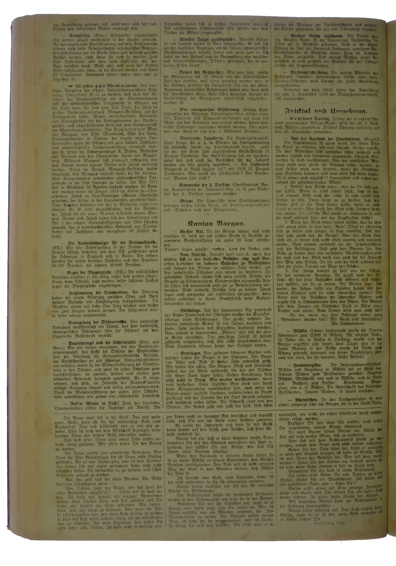 NRZ_1918_100_2