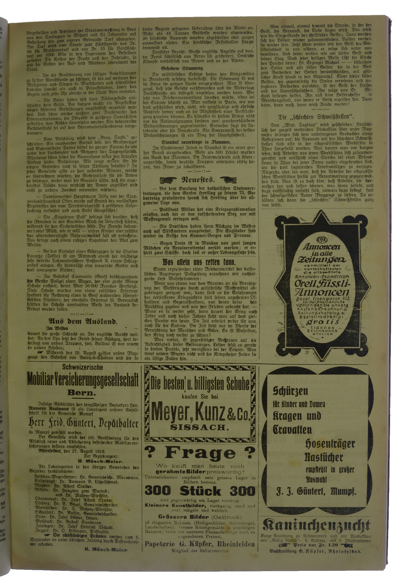 NRZ_1918_103_3