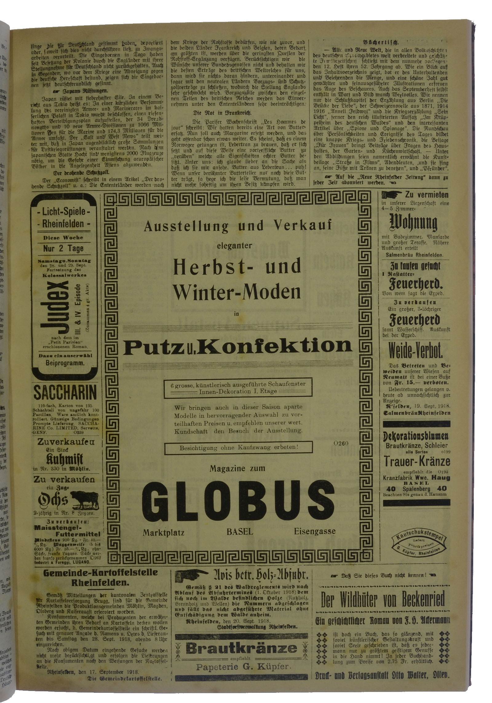NRZ_1918_113_3