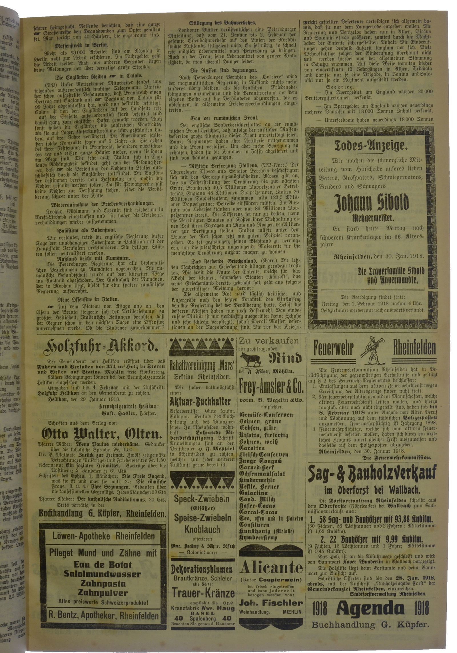 NRZ_1918_13_3
