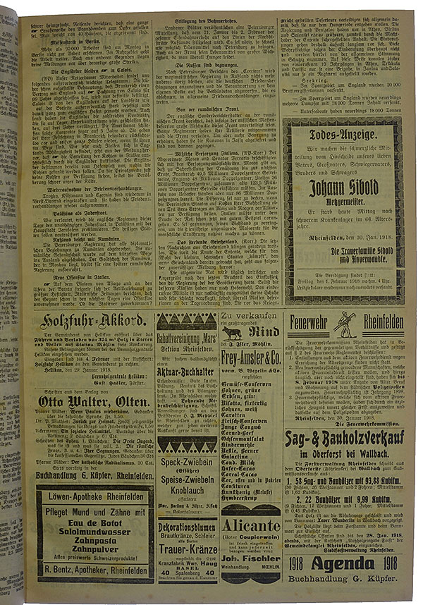 NRZ_1918_13_3