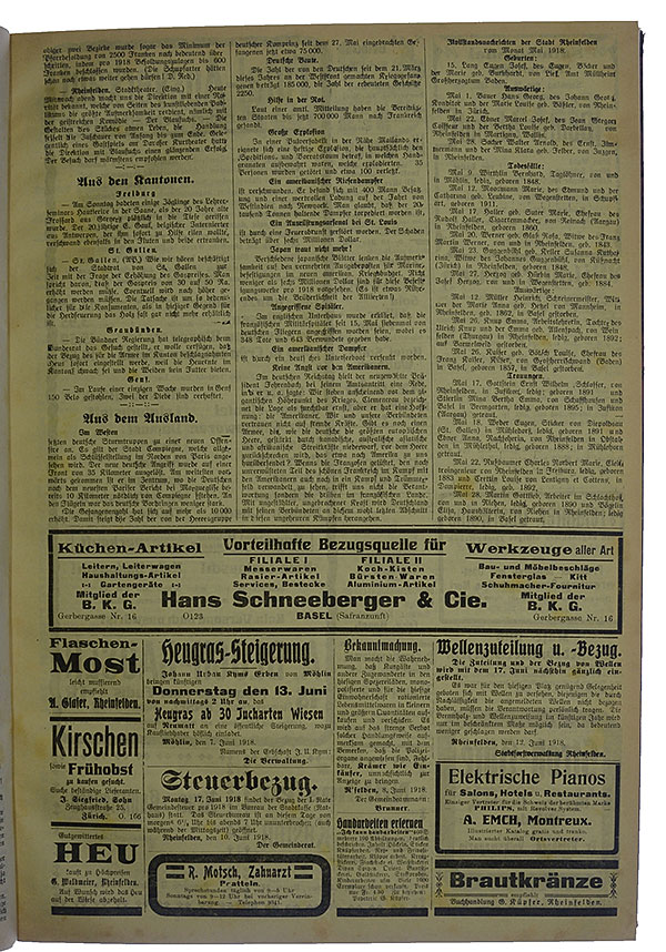 NRZ_1918_68_3