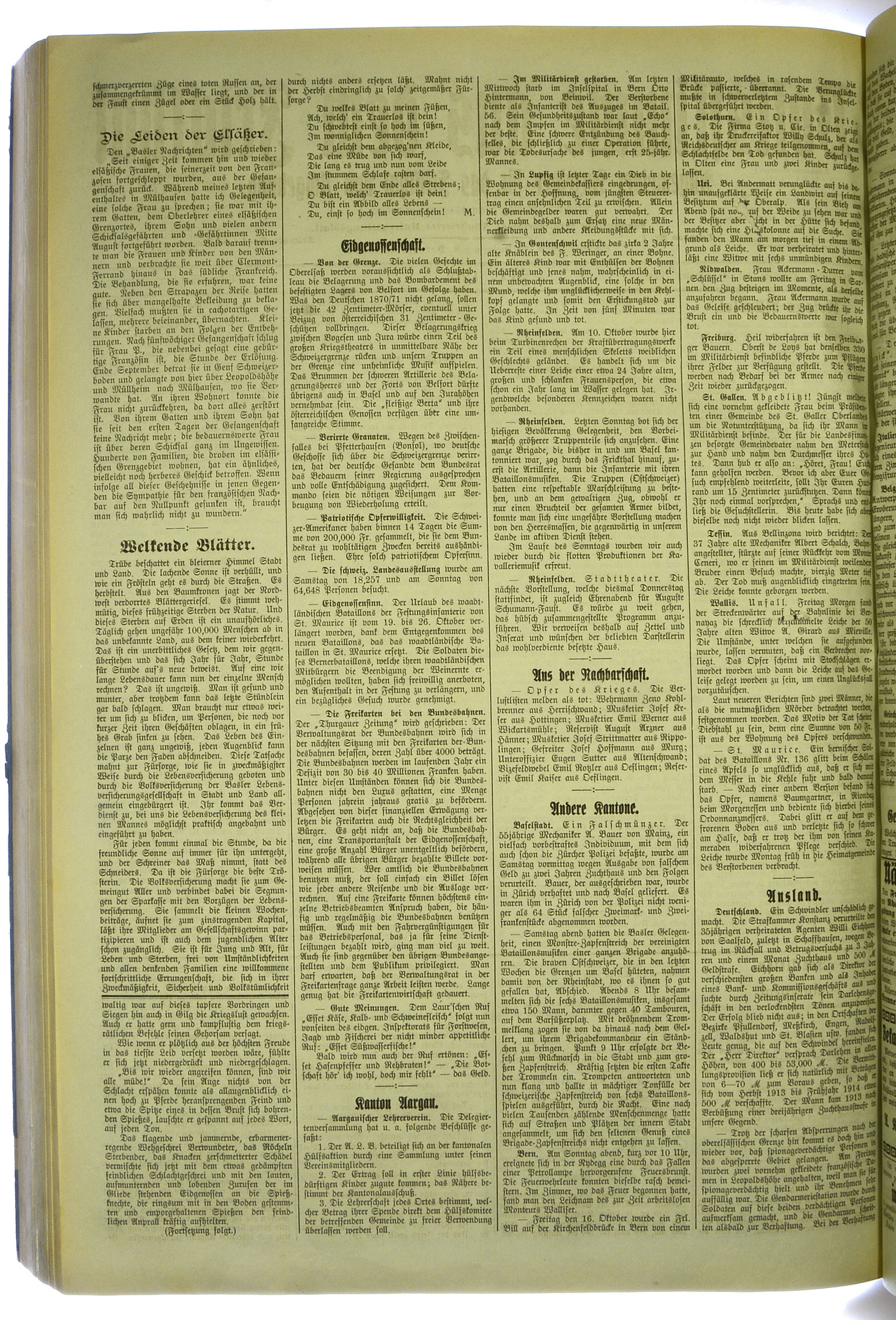 VSF_1914_126_2