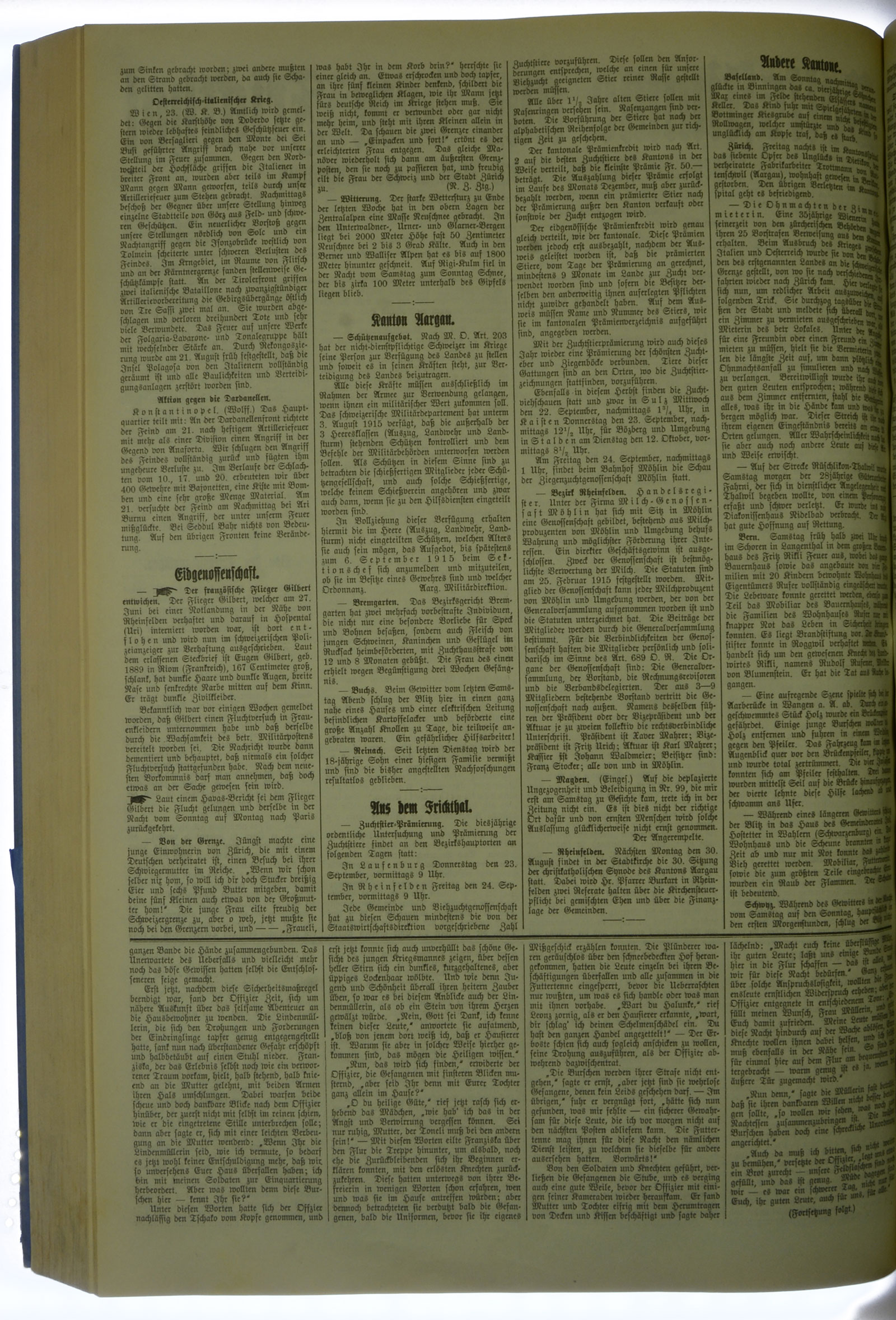 VSF_1915_101_2