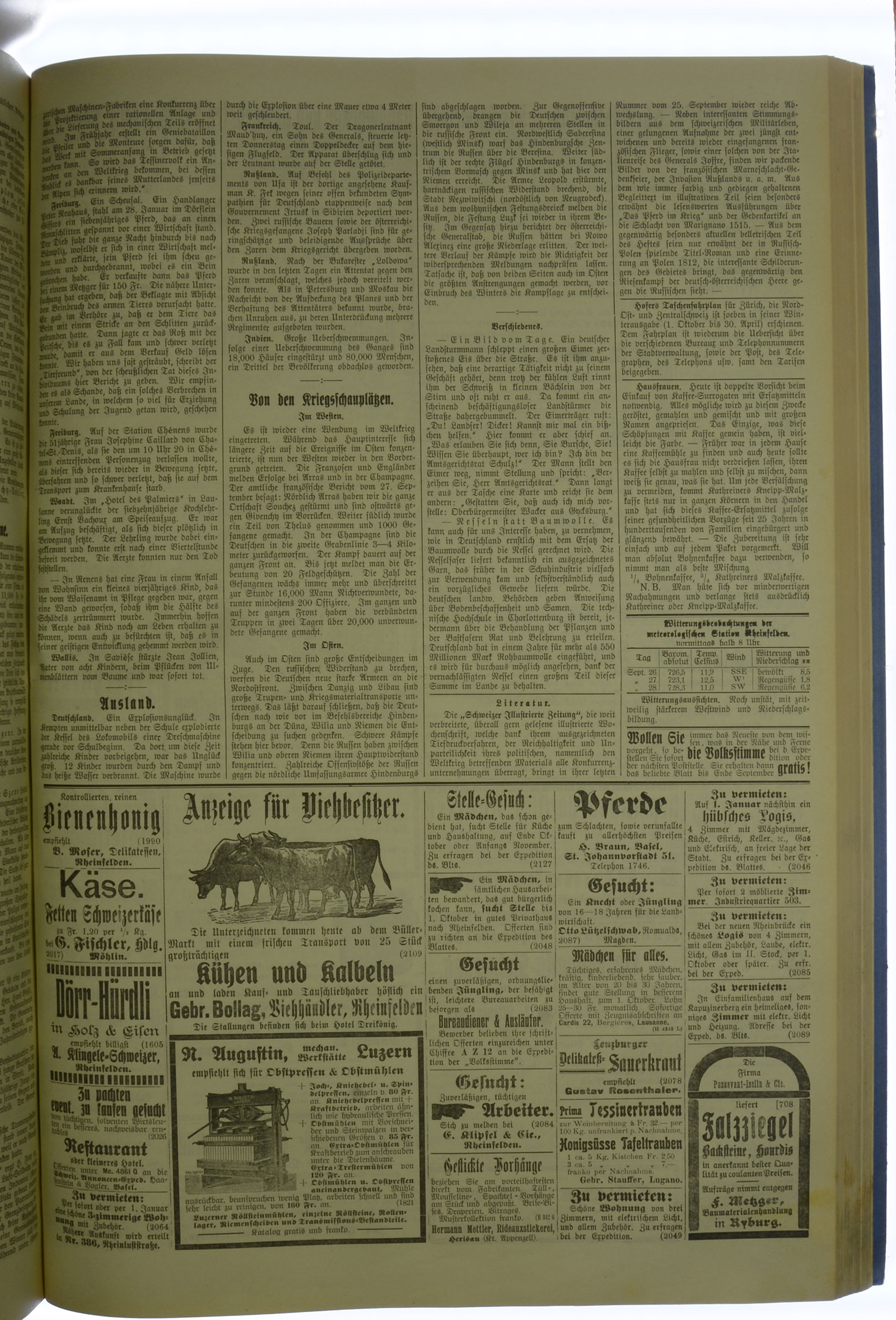 VSF_1915_116_3