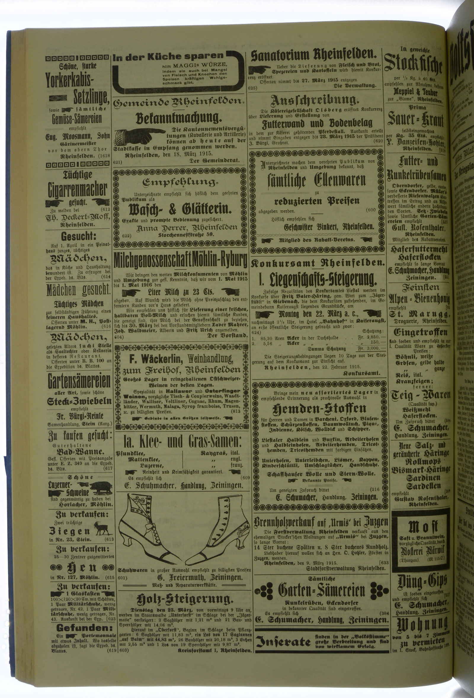 VSF_1915_33_4