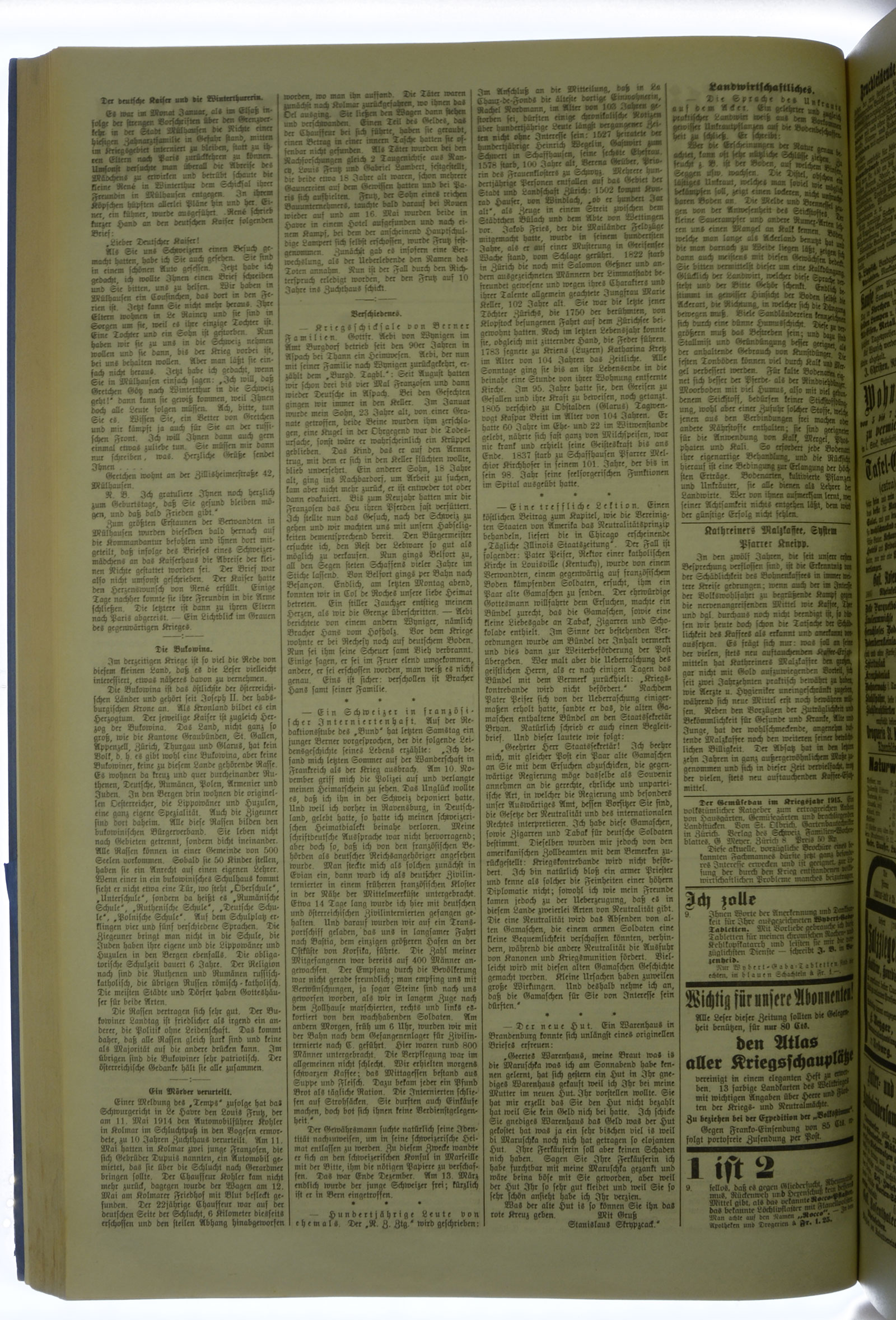 VSF_1915_40_6