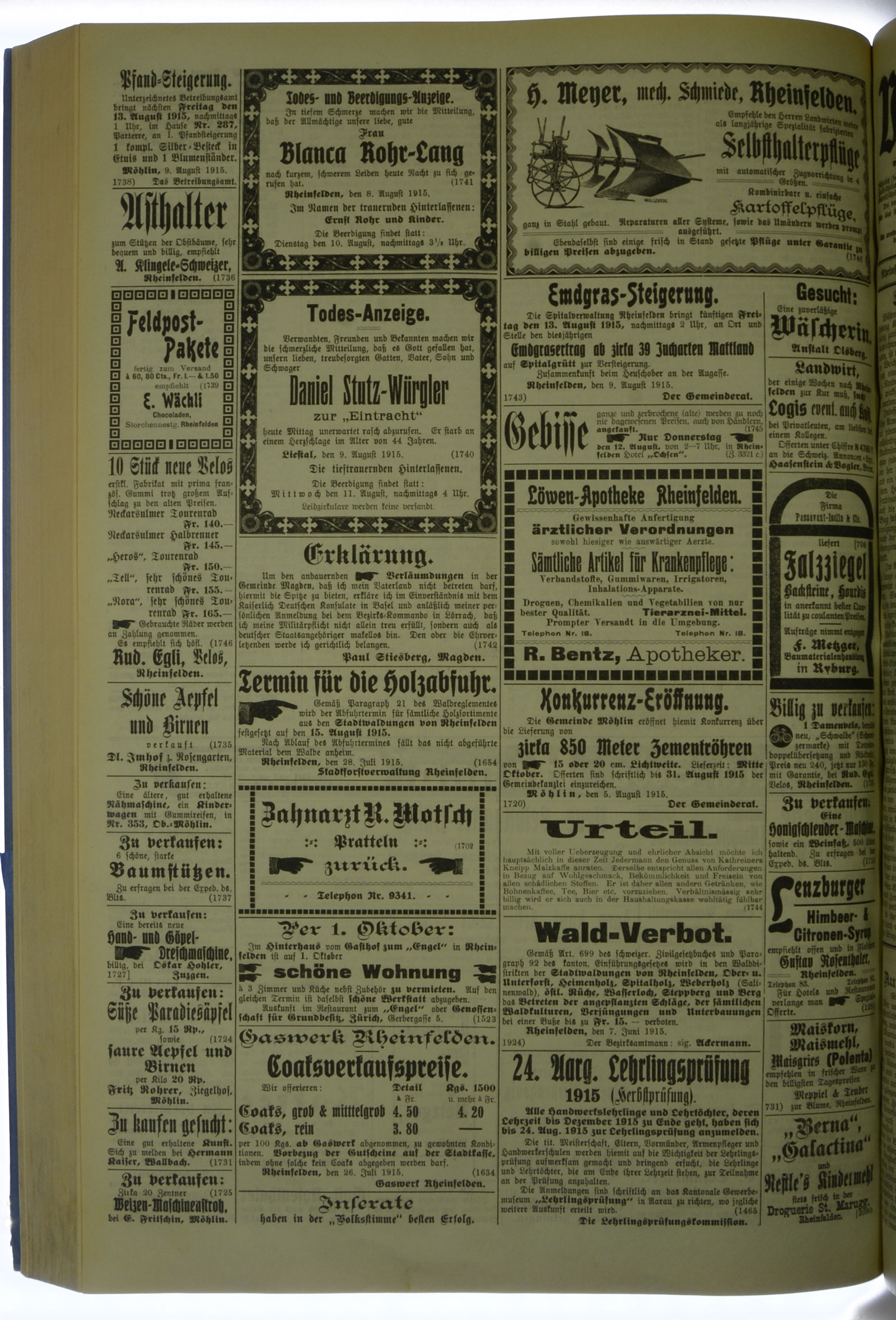 VSF_1915_95_4