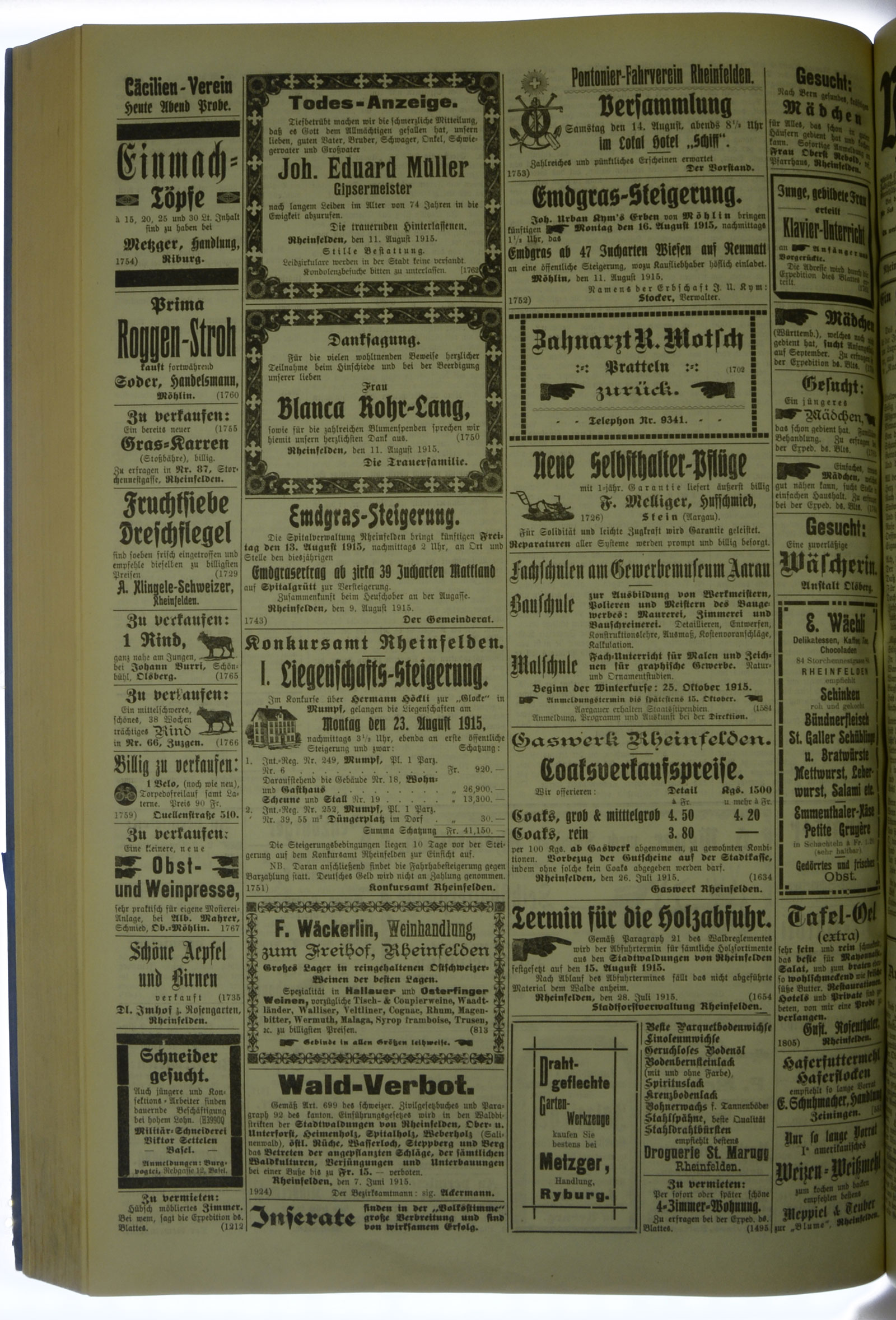 VSF_1915_96_4