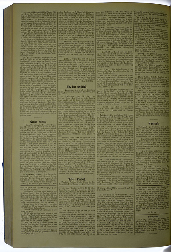 VSF_1915_131_2