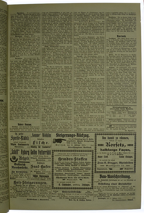 VSF_1915_19_3