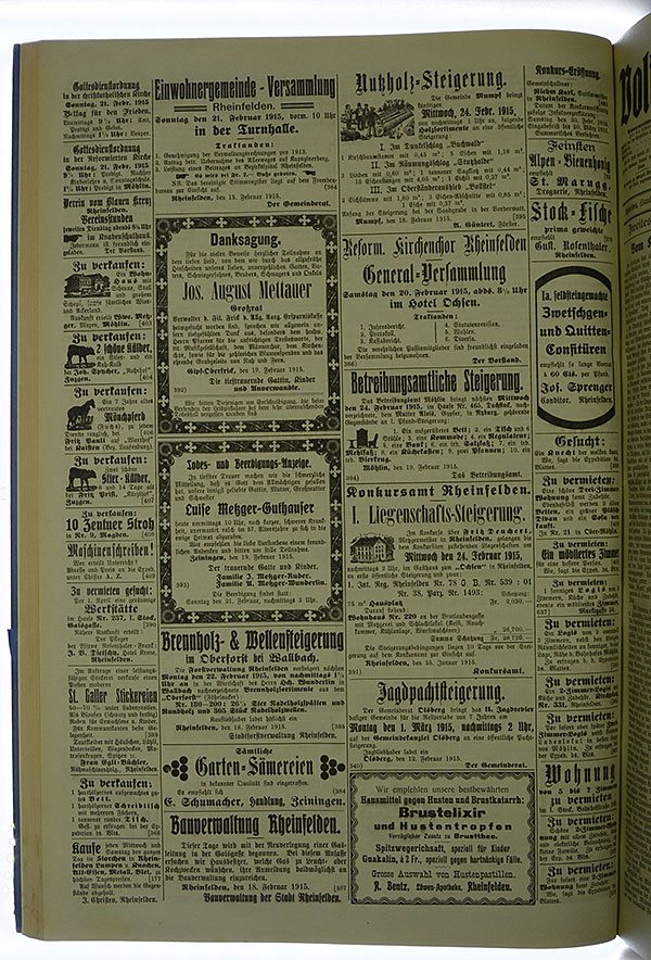 VSF_1915_22_4
