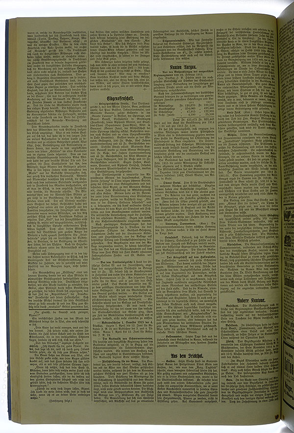VSF_1915_24_2