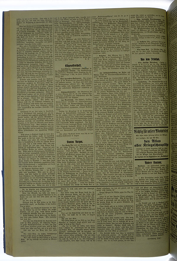 VSF_1915_33_2