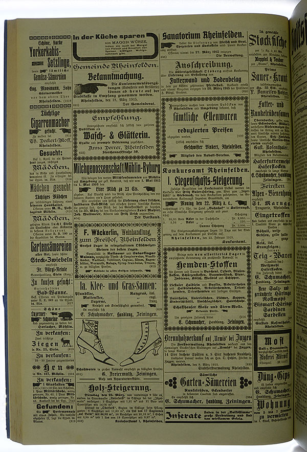 VSF_1915_33_4