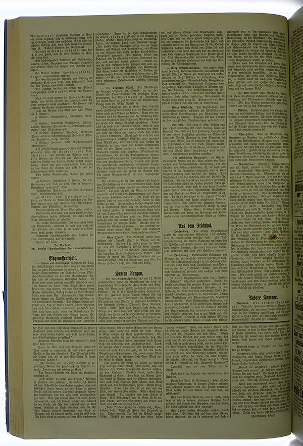 VSF_1915_45_2