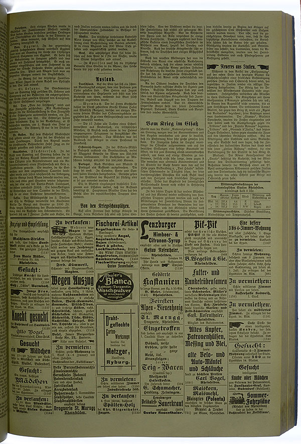 VSF_1915_59_3