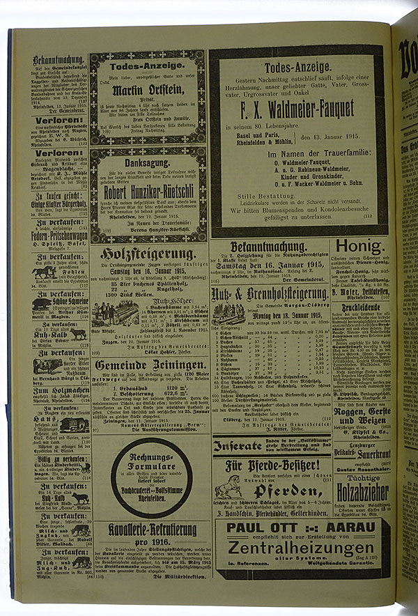 VSF_1915_6_4