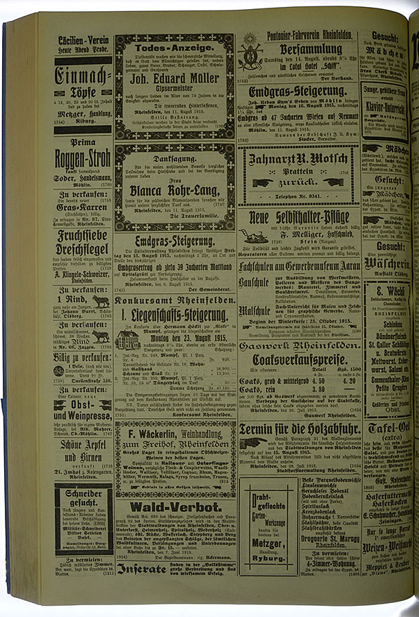 VSF_1915_96_4