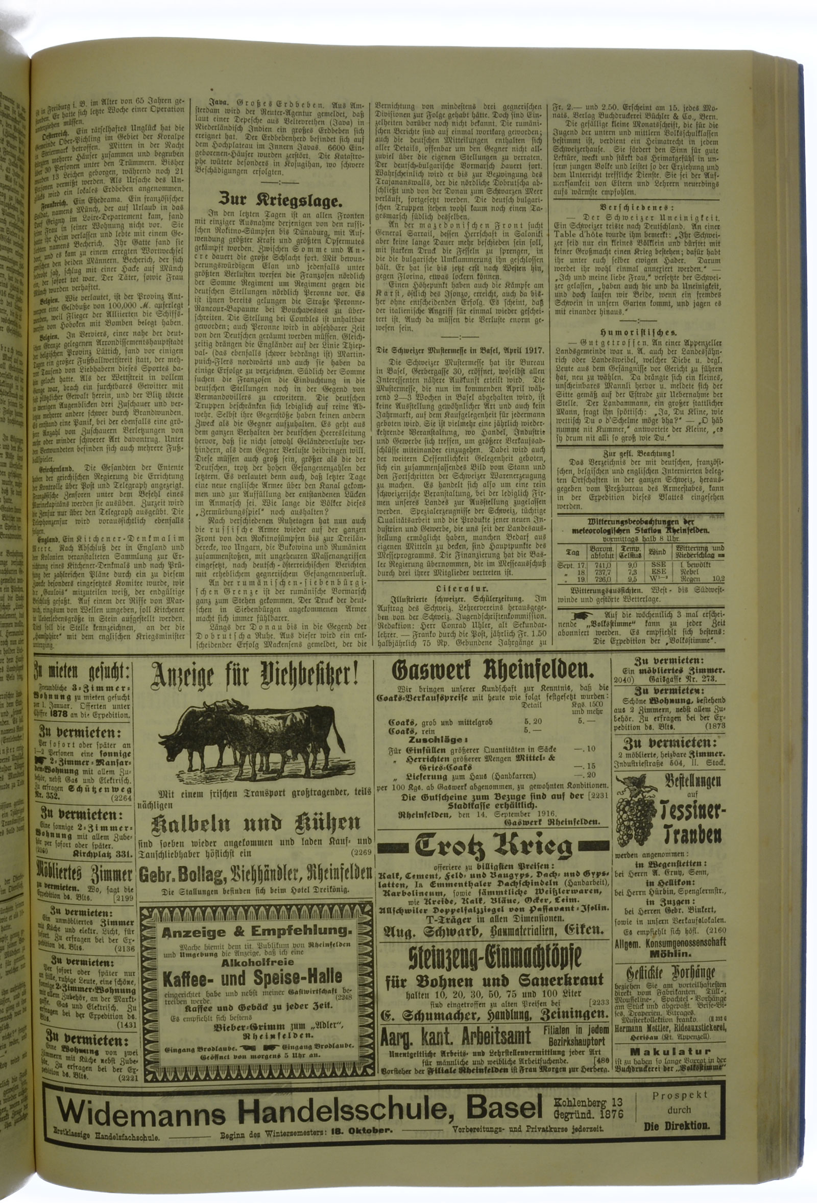 VSF_1916_113_3