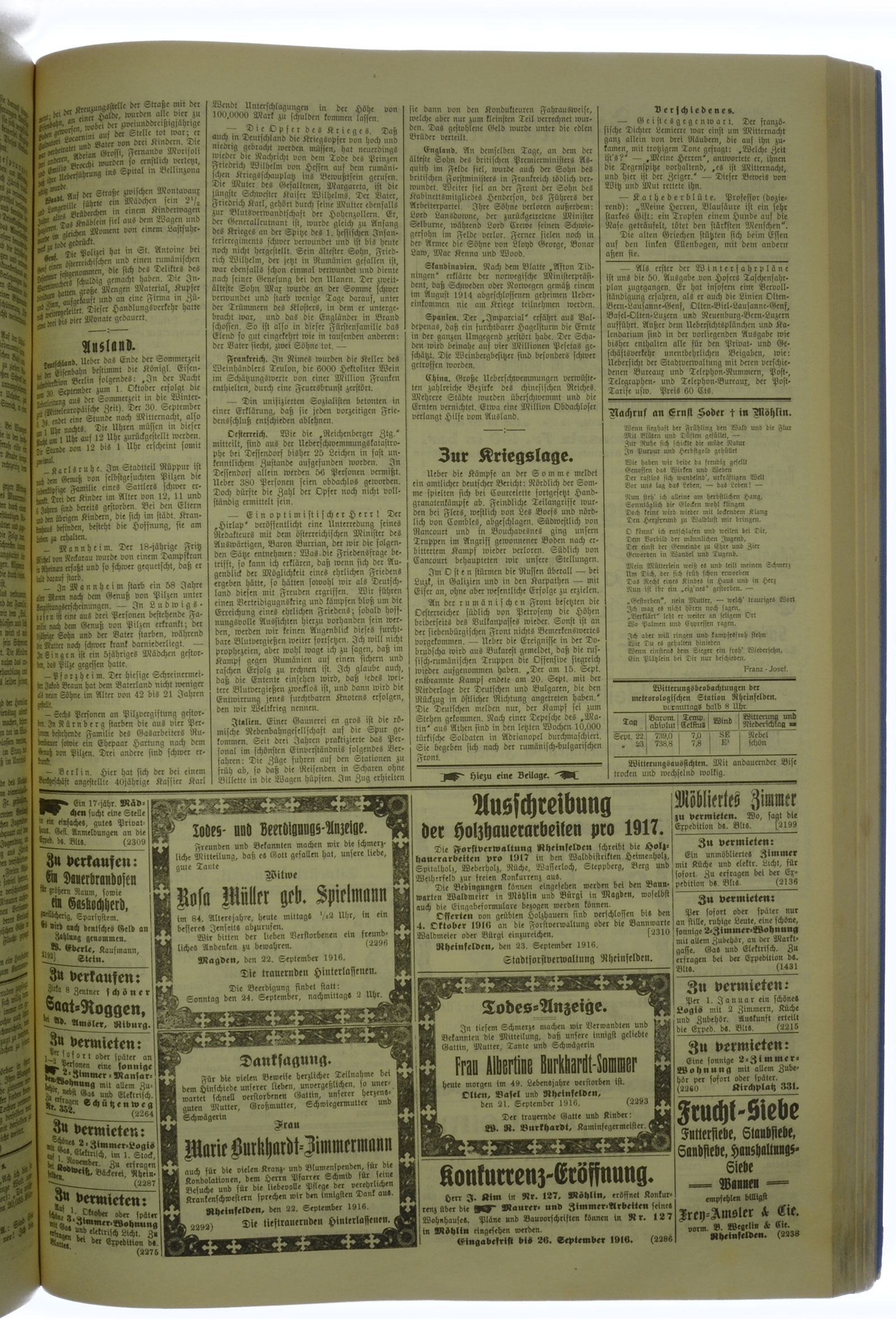VSF_1916_115_3