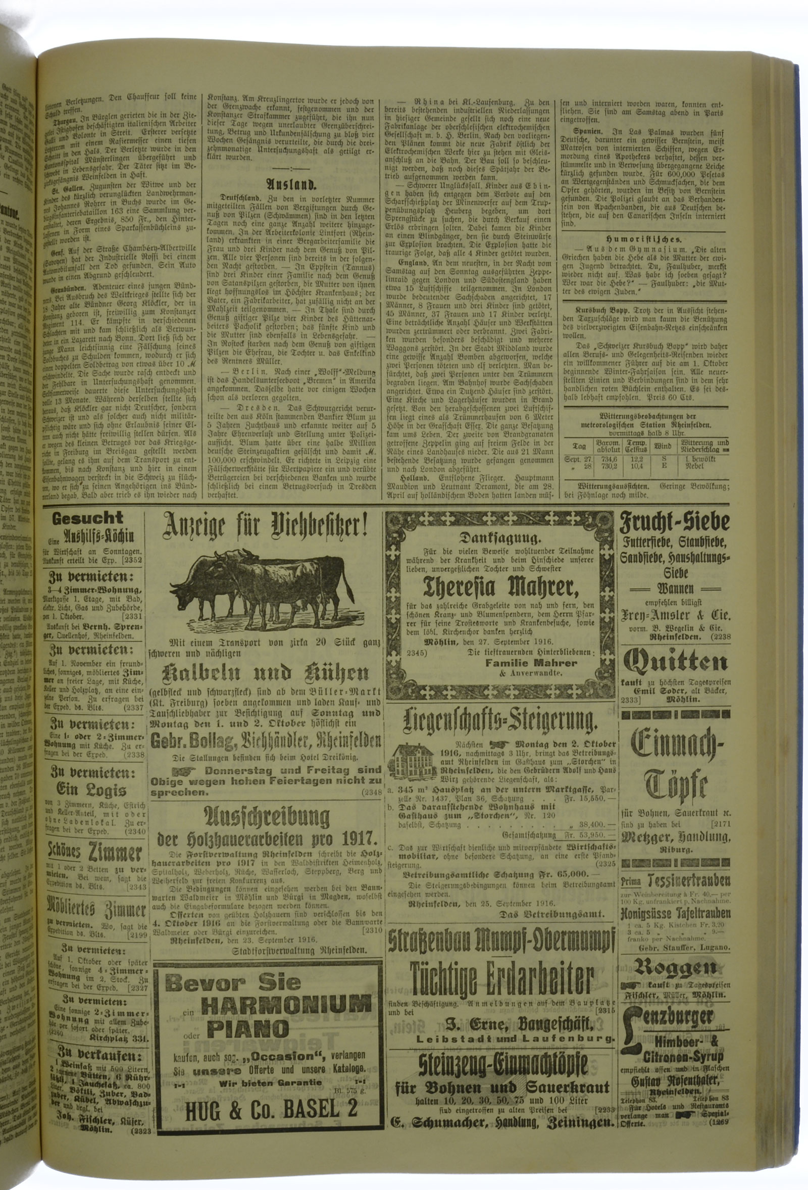 VSF_1916_117_3