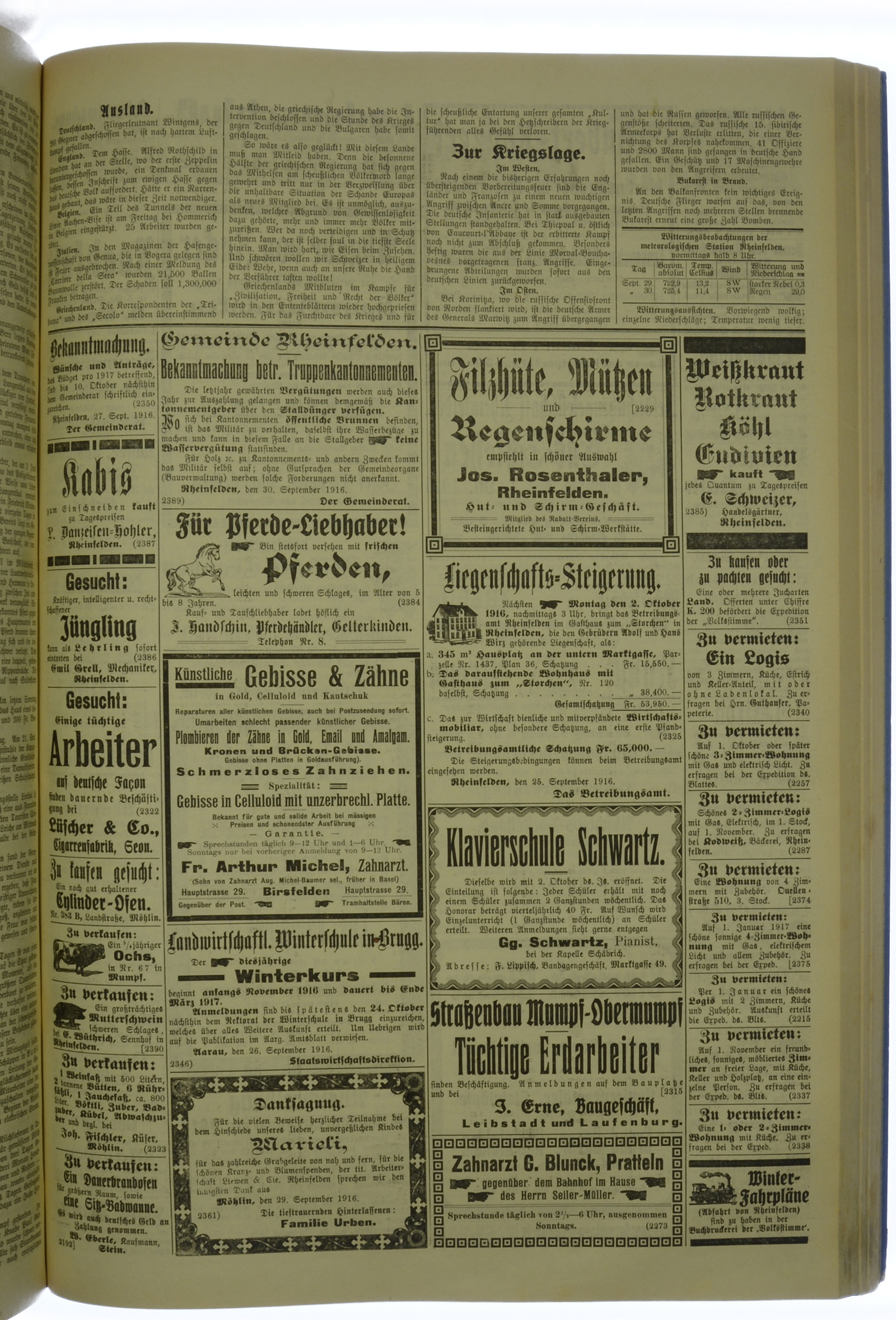 VSF_1916_118_3