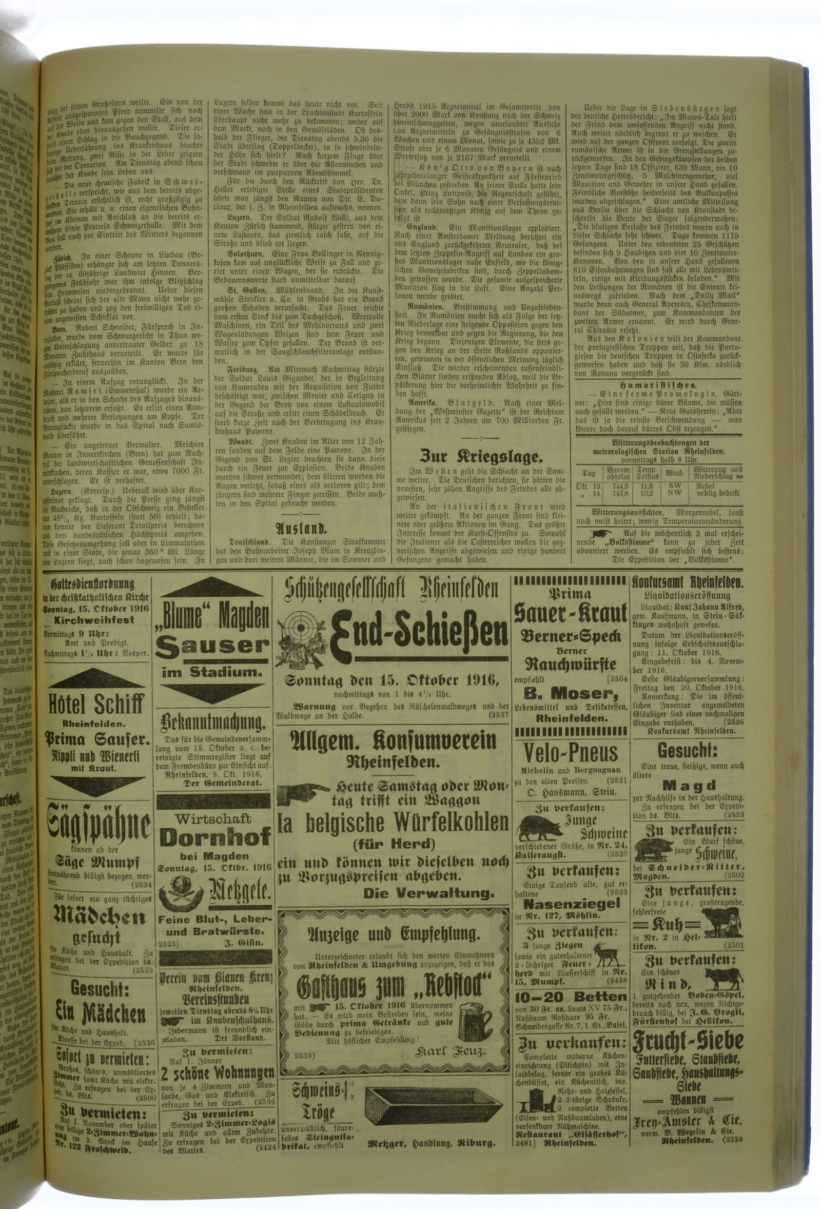 VSF_1916_124_3