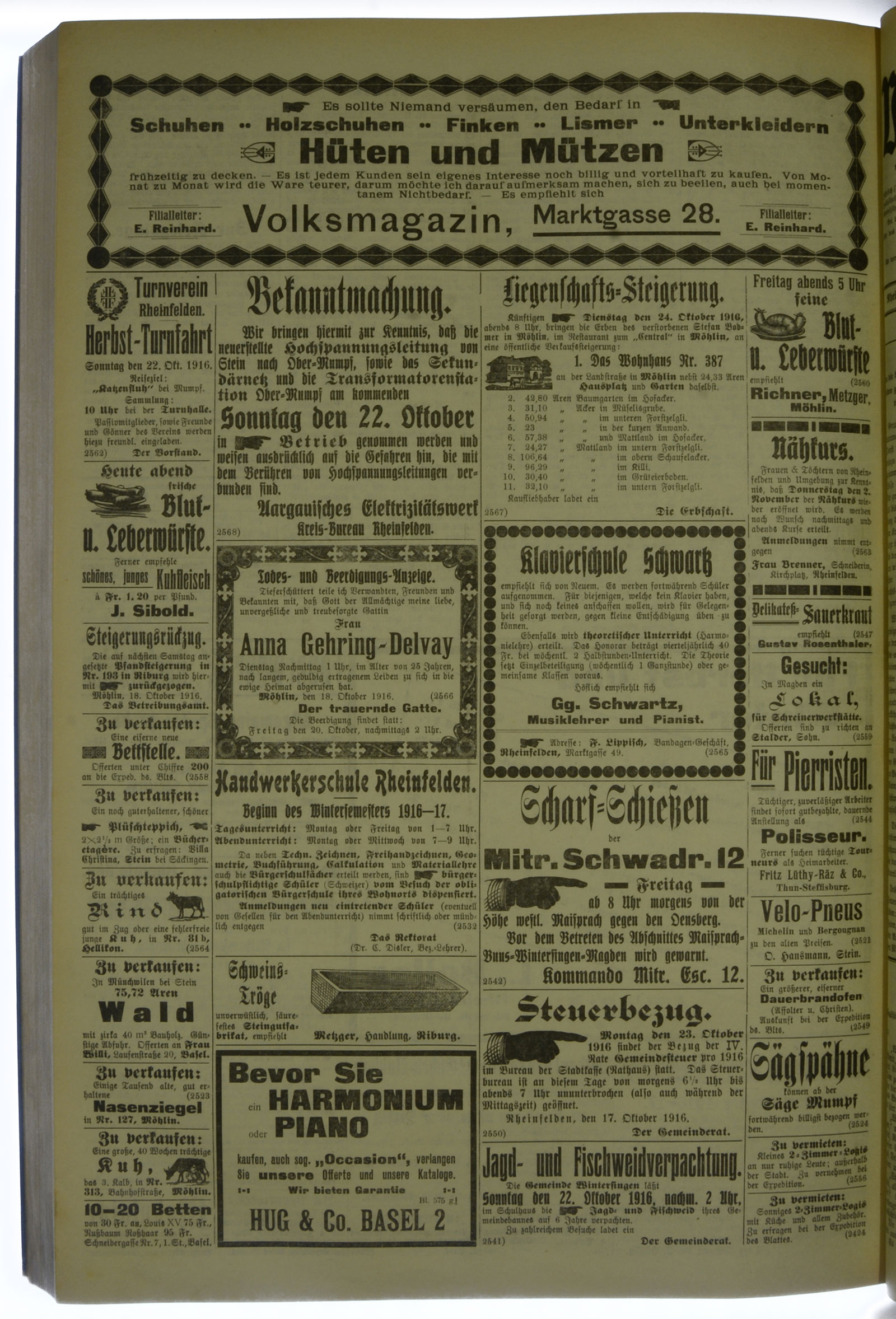 VSF_1916_126_4