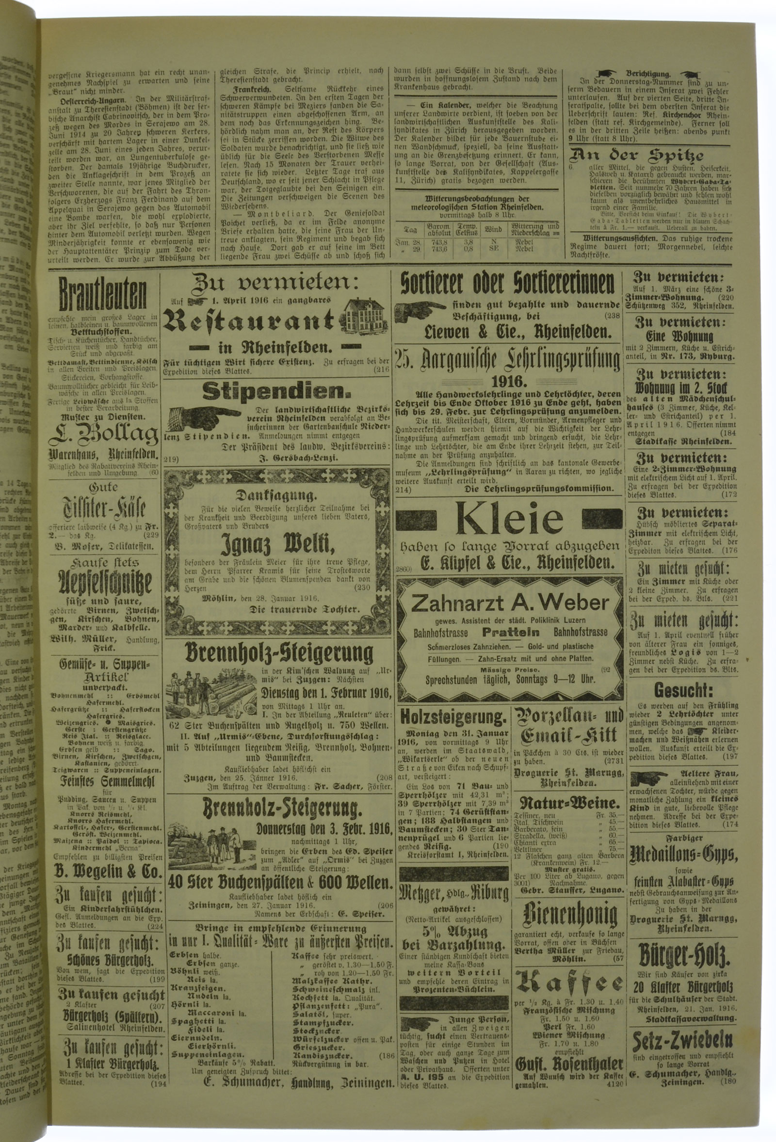 VSF_1916_13_3