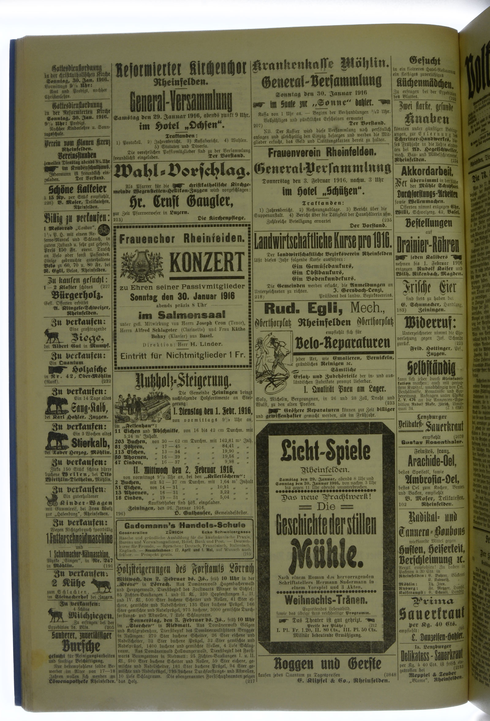 VSF_1916_13_4