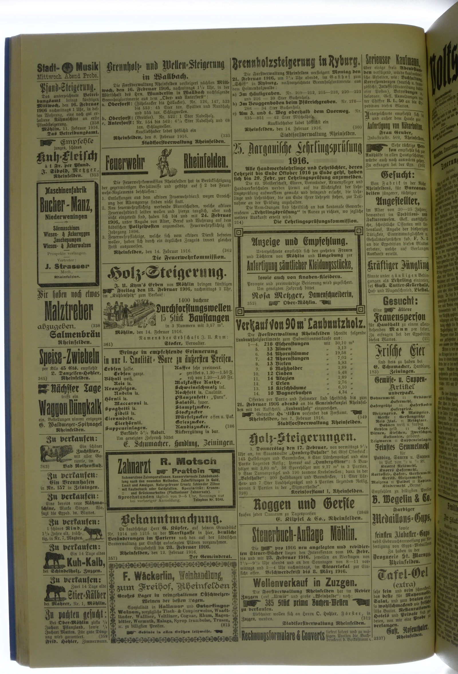 VSF_1916_20_4