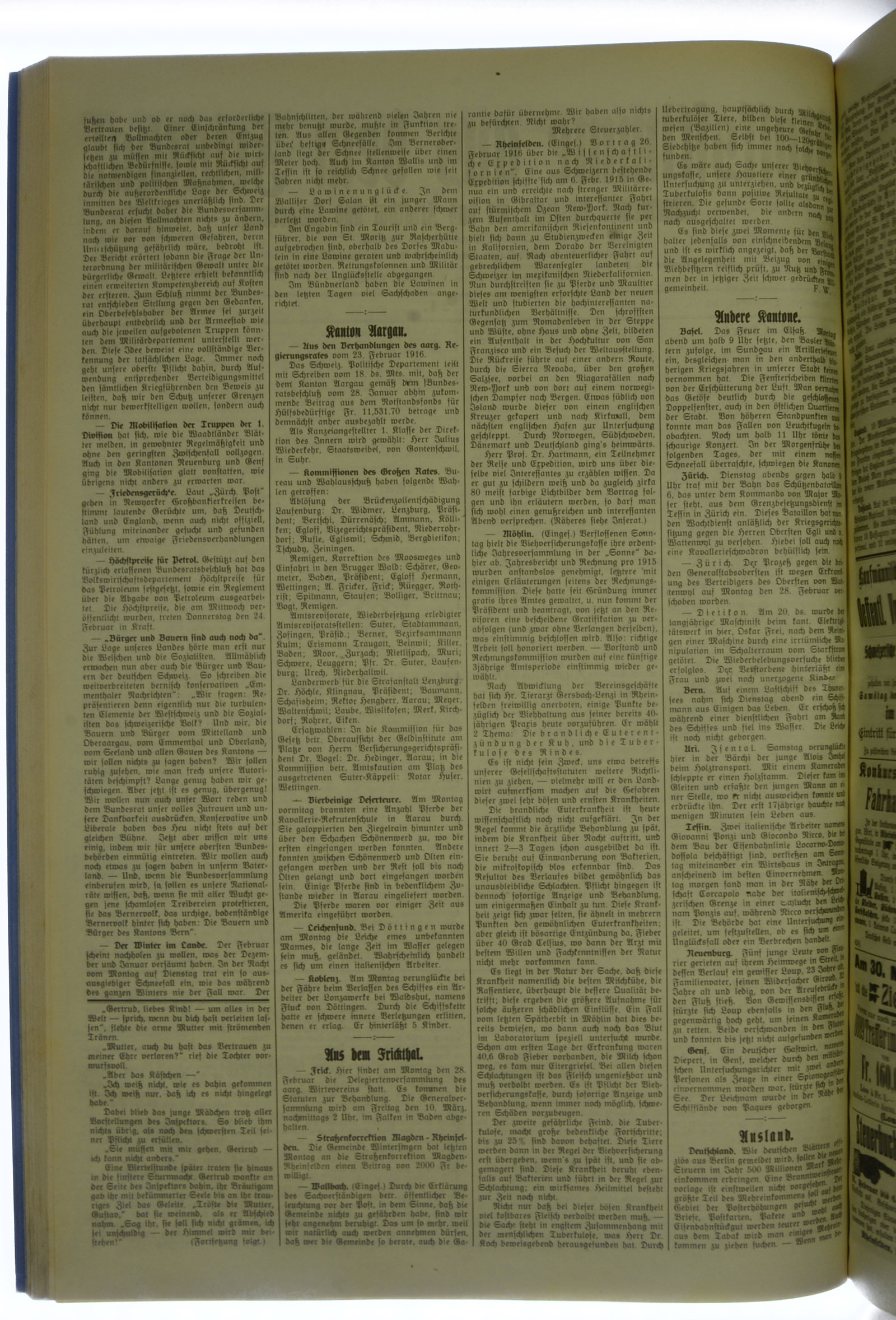 VSF_1916_24_2