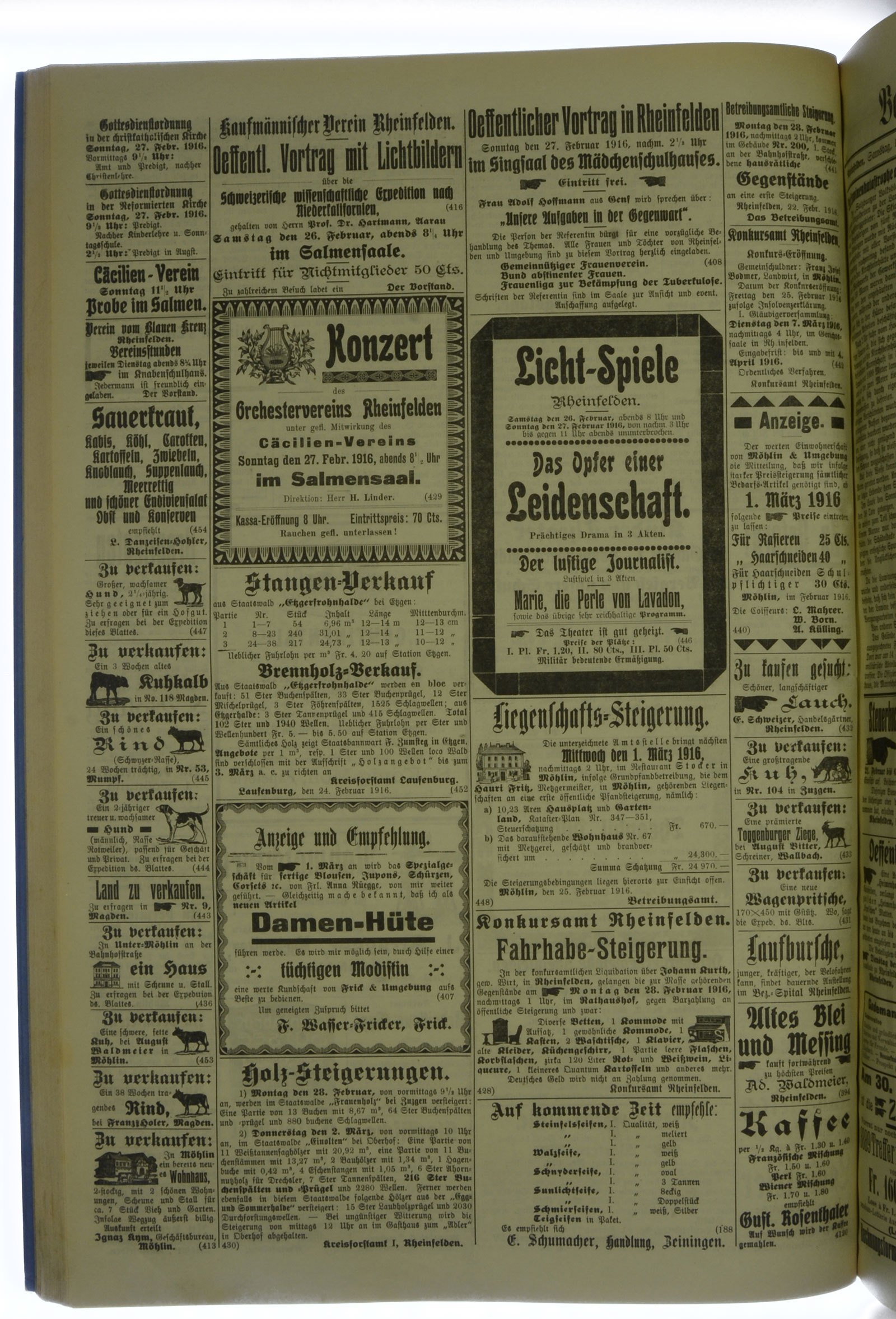 VSF_1916_25_4