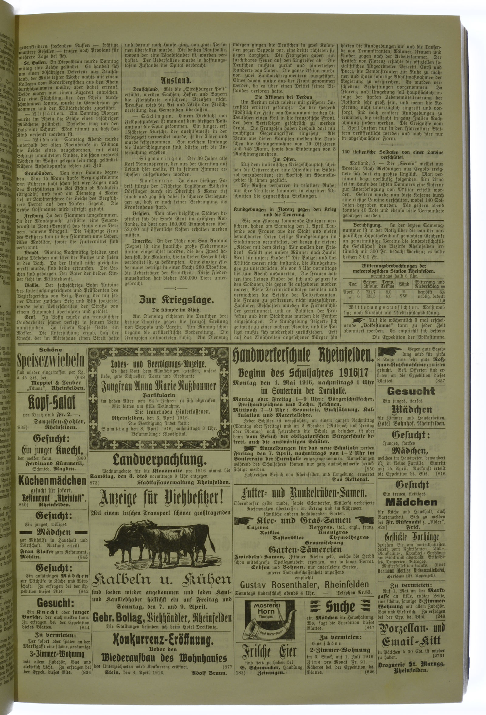VSF_1916_42_3