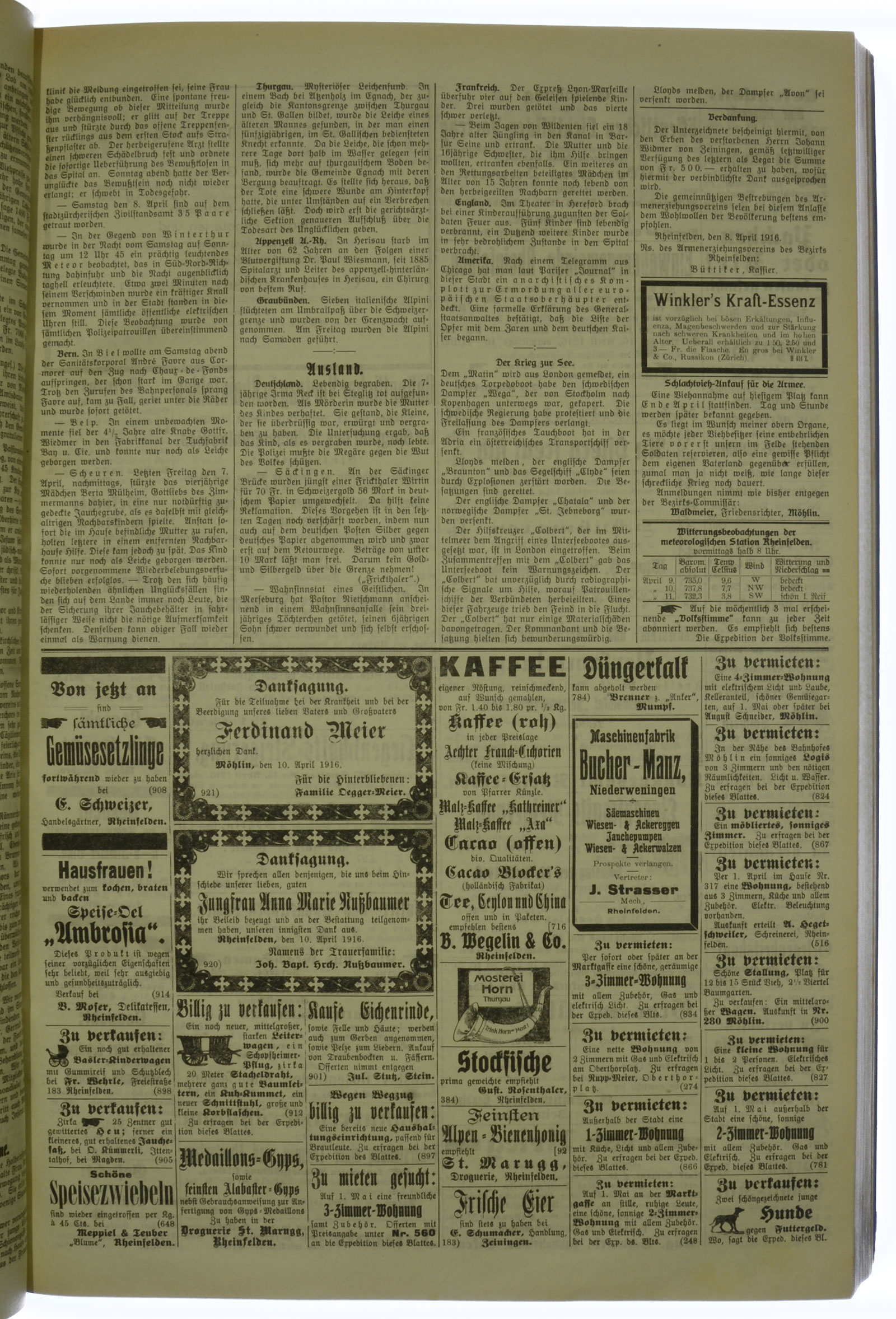 VSF_1916_44_3