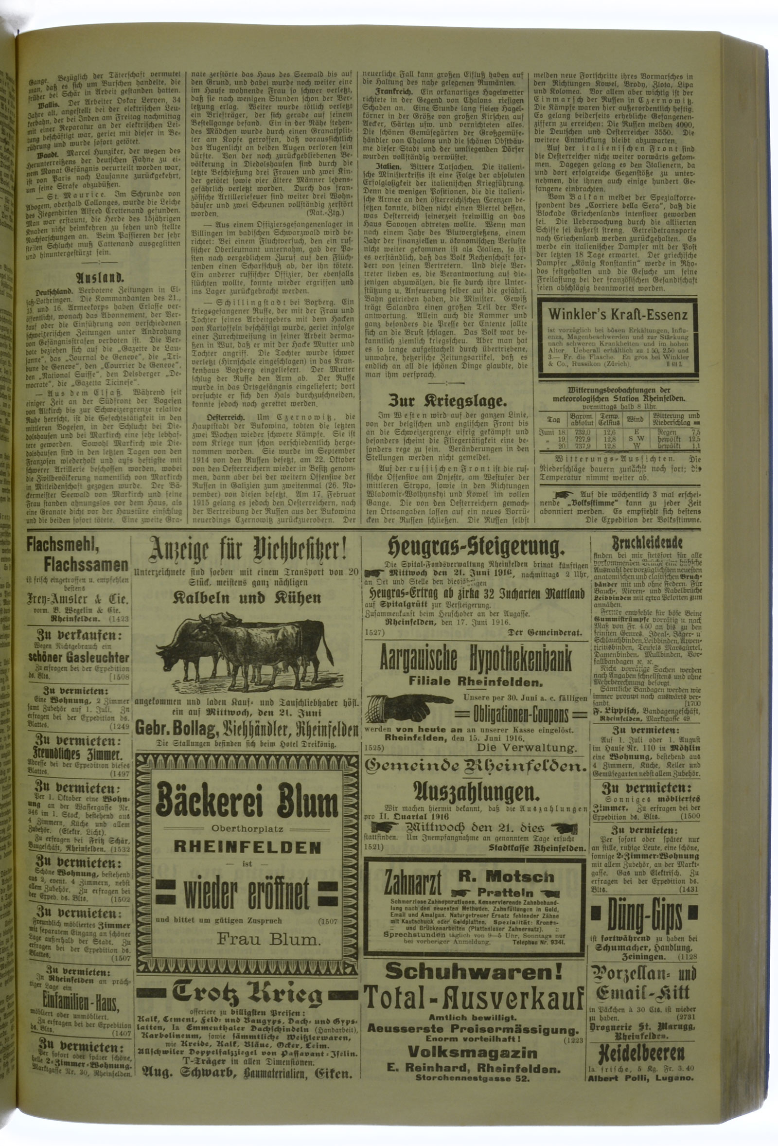 VSF_1916_74_3
