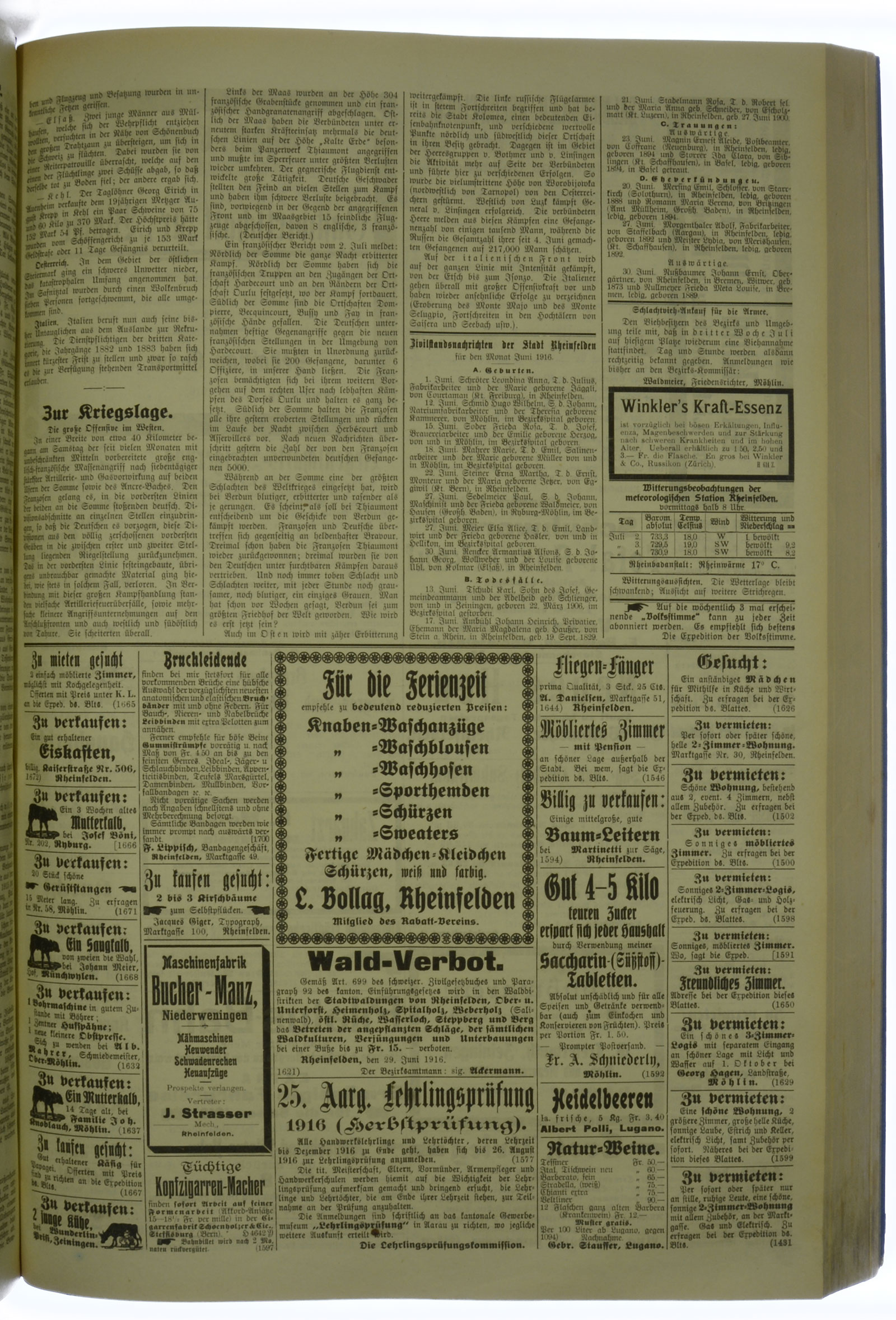 VSF_1916_80_3
