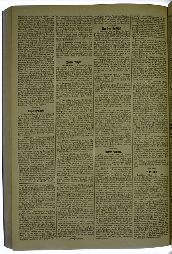 VSF_1916_101_2