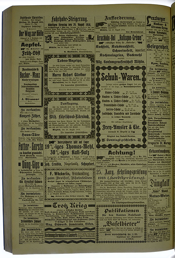 VSF_1916_102_4