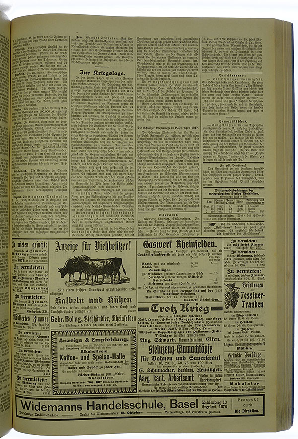 VSF_1916_113_3