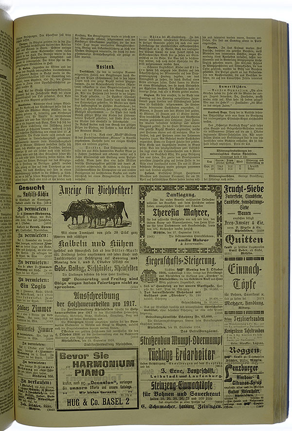 VSF_1916_117_3