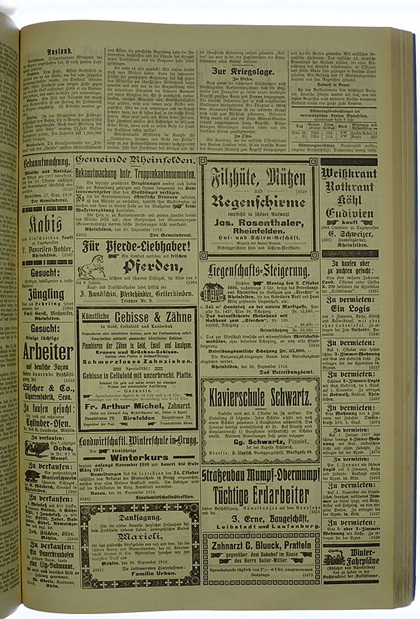 VSF_1916_118_3