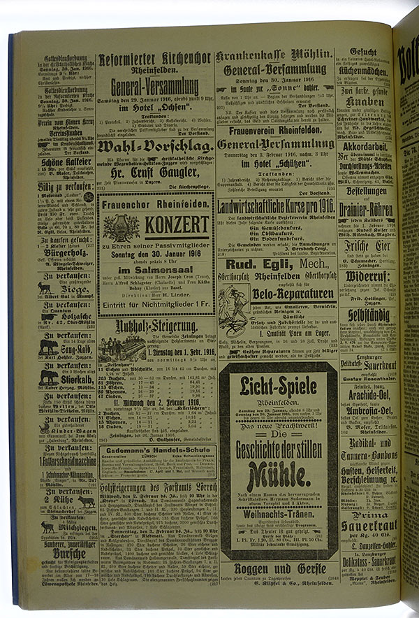 VSF_1916_13_4