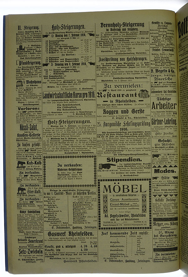 VSF_1916_15_4