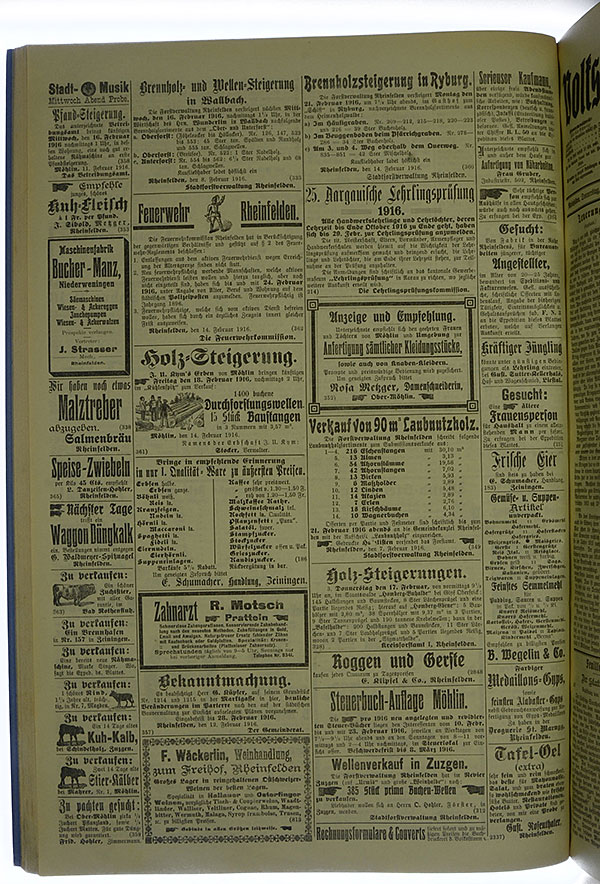 VSF_1916_20_4